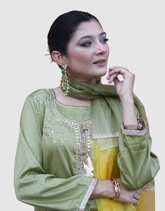 Elegant Aari Light Green Embroidery Suit
