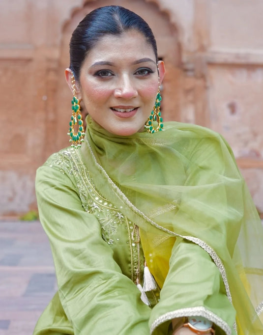 Elegant Aari Light Green Embroidery Suit