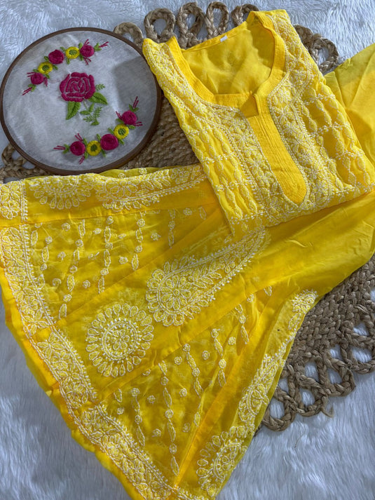 Chikankari Georgette Plazzo set (similar available) Ready to ship